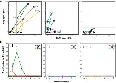 Tolerogenic dendritic cells pulsed with islet antigen induce long-term reduction in T-cell autoreactivity in type 1 diabetes patients